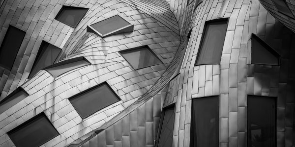 Zoom sur Frank Gehry